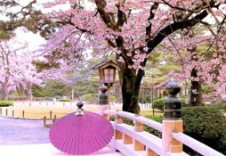 高椅嶺、莽山五指峰、小東江、鳳凰島、蘇仙嶺6日觀光之旅
